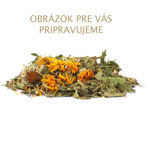 Ginseng Siberian (ženšen sibírsky)