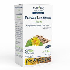 Púpava lekárska koreň