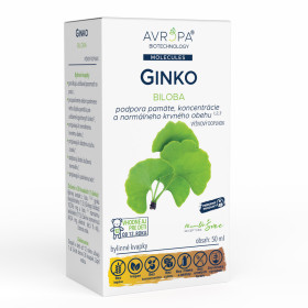 Ginko biloba